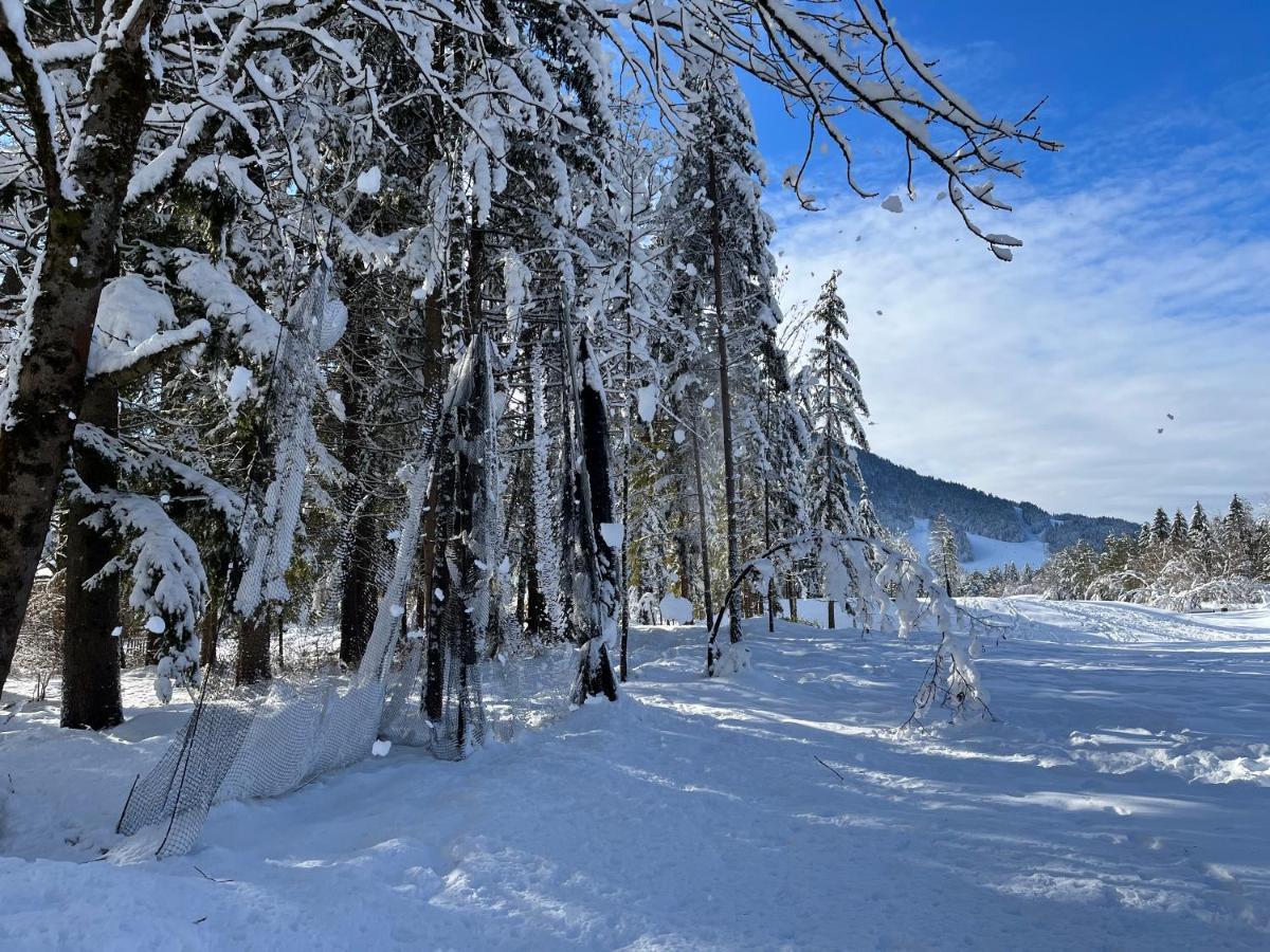 Apartma Anastasija Kranjska Gora Bagian luar foto