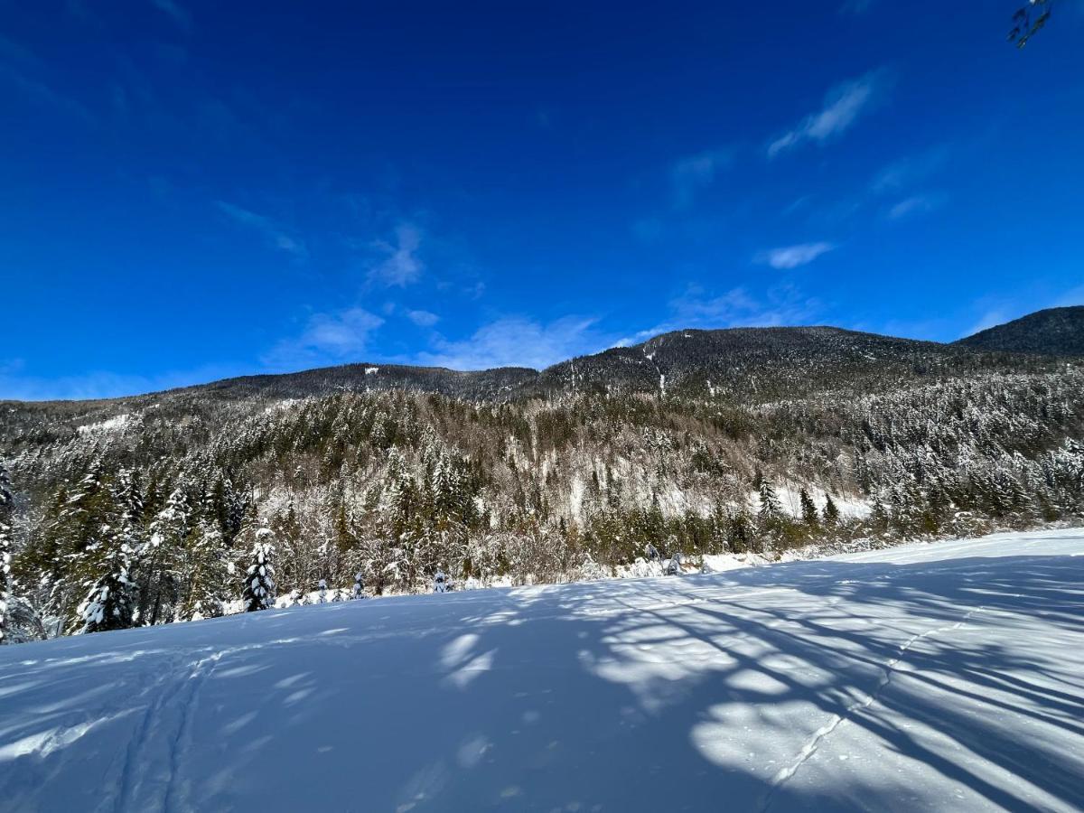 Apartma Anastasija Kranjska Gora Bagian luar foto