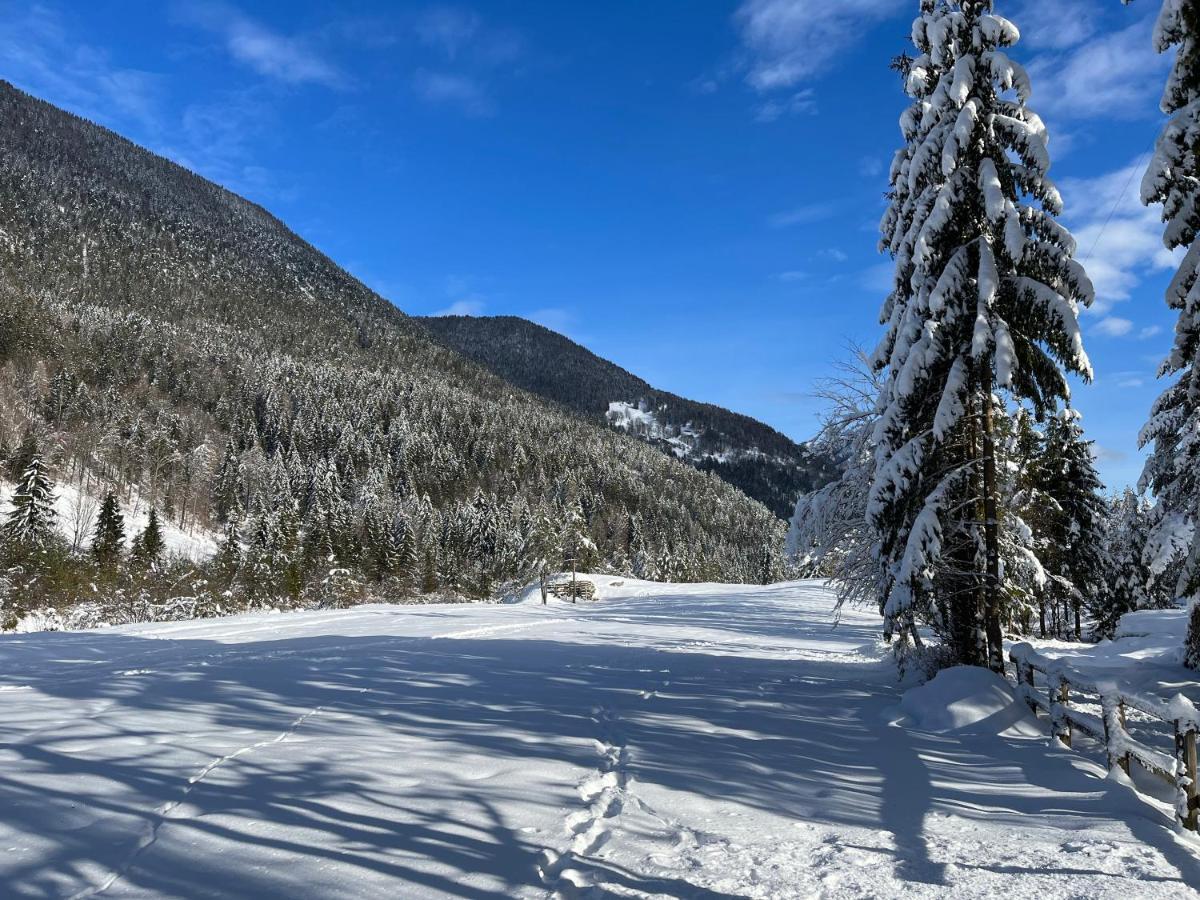 Apartma Anastasija Kranjska Gora Bagian luar foto